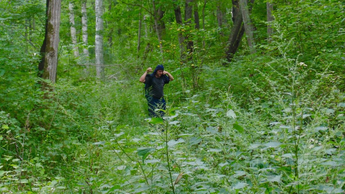 Дальневосточная тайга