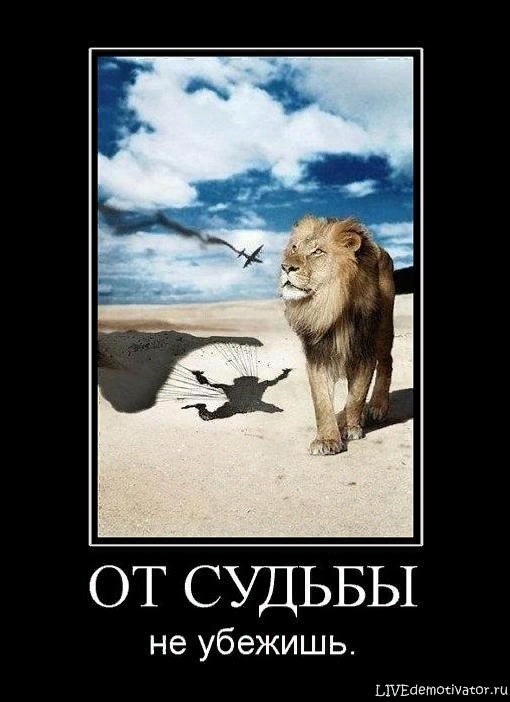 От судьбы не уйдешь картинки