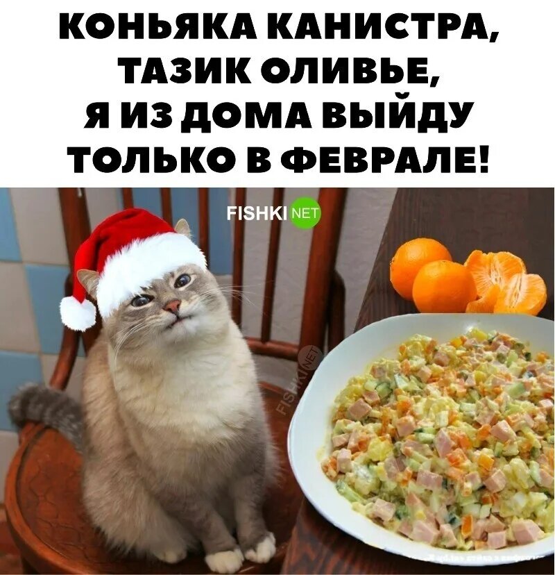 Давай уже после нового года мем Близится новогодний жор и январский дожор Fishki.Net Дзен