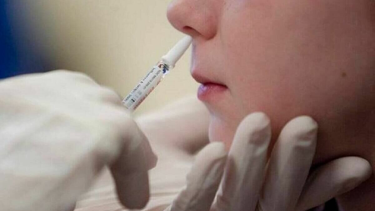     Партию интерназальной вакцины от коронавируса получили лечебные организации Нижегородской области. Об этом рассказал глава областного минздрава Давид Мелик-Гусейнов в своих соцсетях.