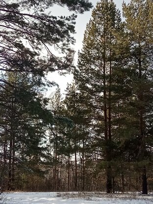 Фотография из личного архива автора