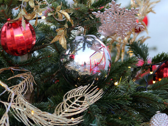   Геннадий Черкасов