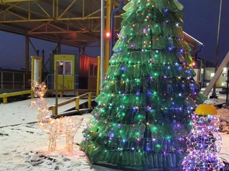    Фото: teo.ecotko.ru