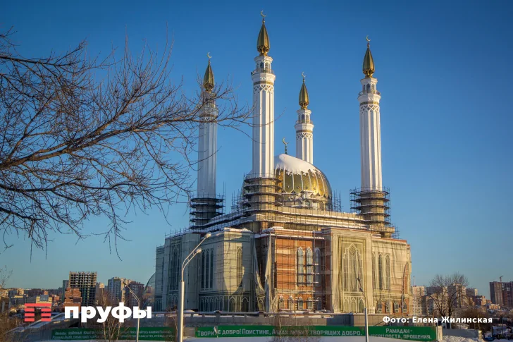    Фото: Пруфы.рф