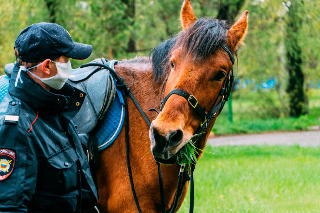 Полицейский (кавалерист) в 1-й специальный полк полиции ГУ МВД РФ по городу Москве