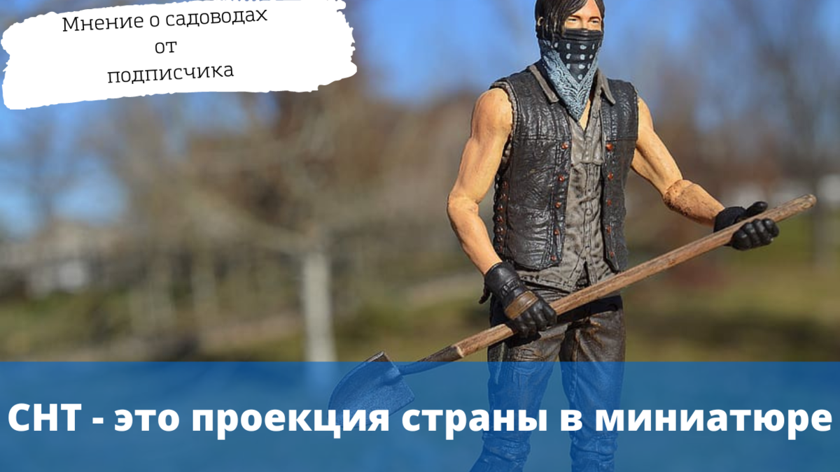 Снт проекция страны в миниатюре