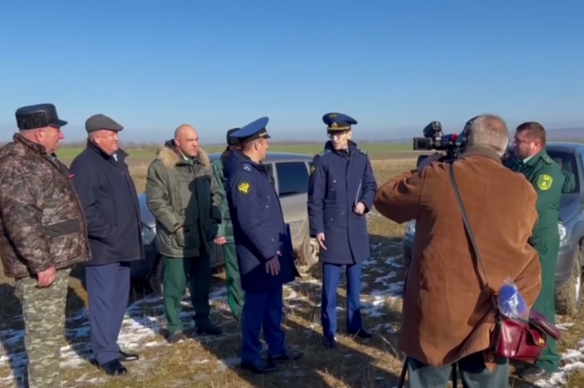    На Ставрополье погибли более 1700 краснокнижных журавлей и других животных