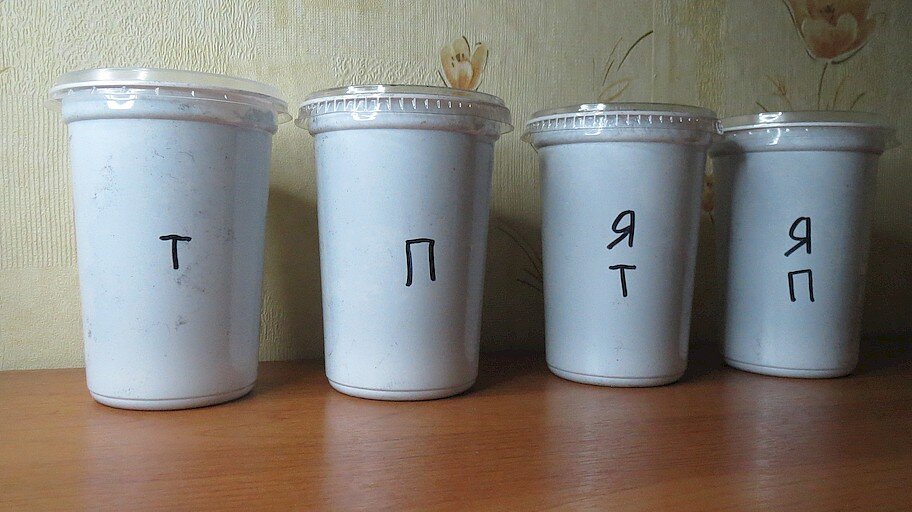 01 февраля 2023 года. Семена посеяны.
