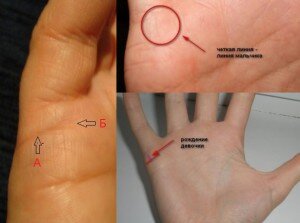 Погадать на детей можно по линиям на руке. В мире существуют разные школы хиромантии, и у каждой из них своя трактовка линий и черточек на ладони. Разобраться в них порой очень непросто, поэтому новичкам лучше воспользоваться самыми доступными вариантами такого гадания.