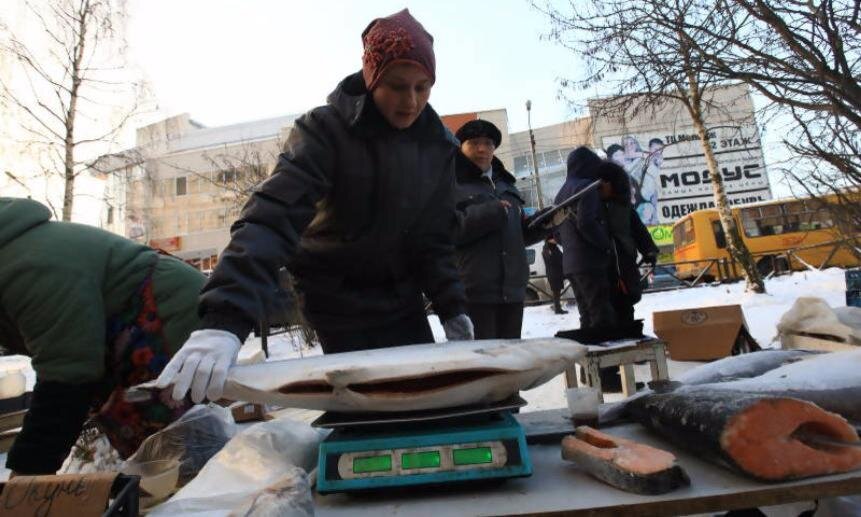 Фото пресс-службы администрации Архангельска.