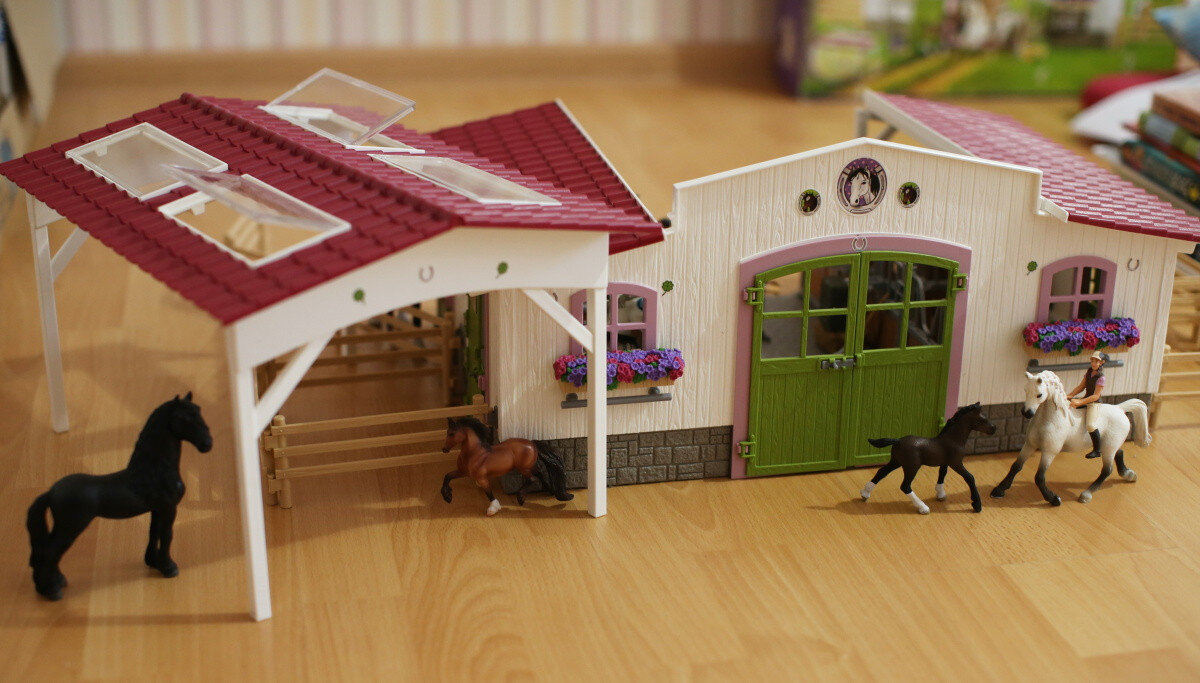 Этот центр позволит разместить десятки лошадей: часть внутри, часть снаружи.
