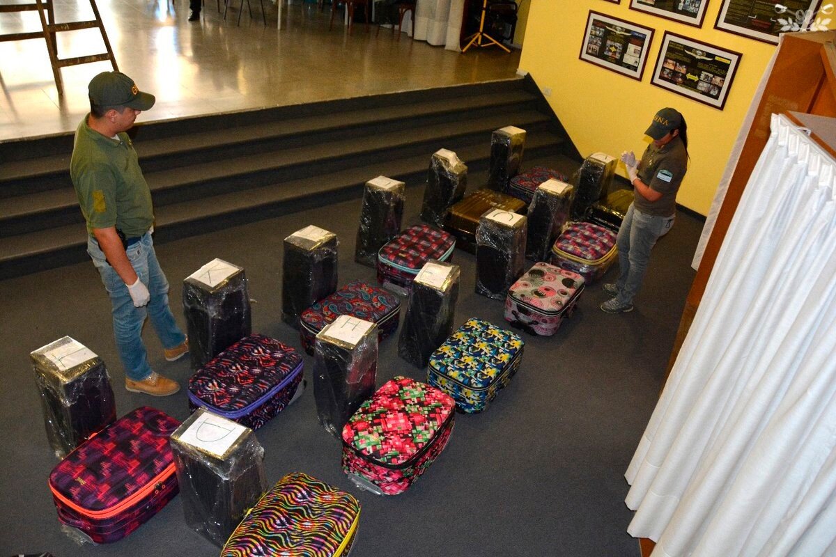 Фото: © twitter.com/gendarmeria
