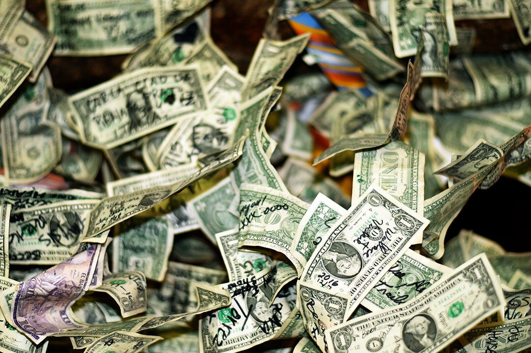 Photo by Olga DeLawrence 