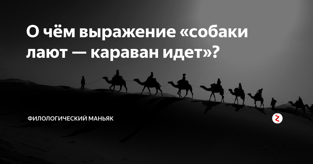 Собака лает караван идет картинки