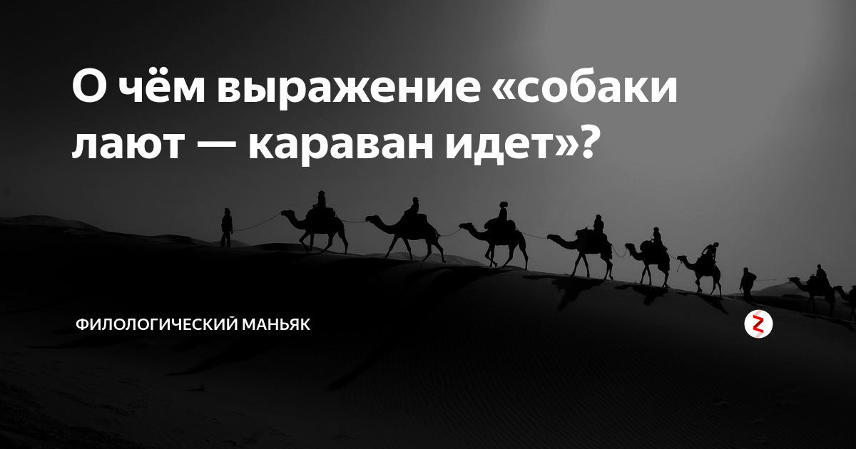 Песня собака караван идет