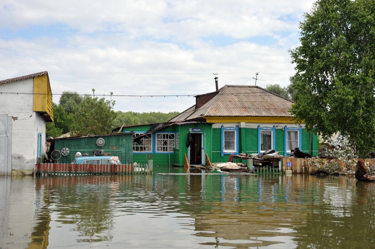 Кругом вода | Журнал N1.RU | Дзен