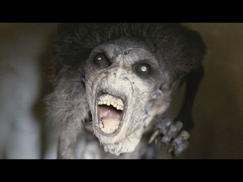 картинки взяты из сервиса Google картинки