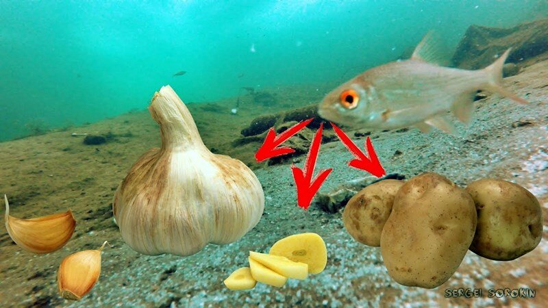 Что понравится больше?