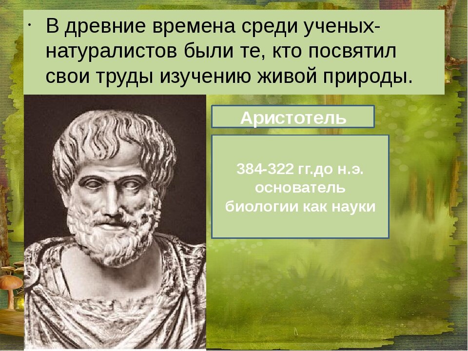 Презентация по аристотелю