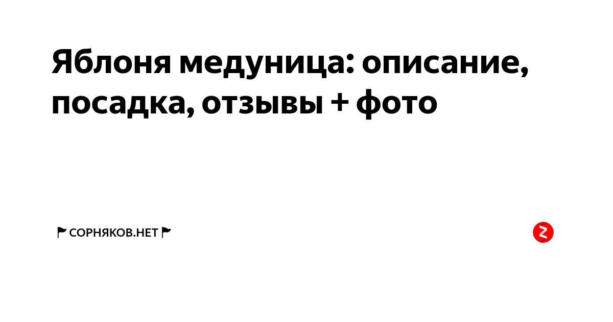 Отзывы посадка. Отзывы посадка. Яблоня сорт братчуд. Посадка картошки. Алыча кака сажать ганичкина.