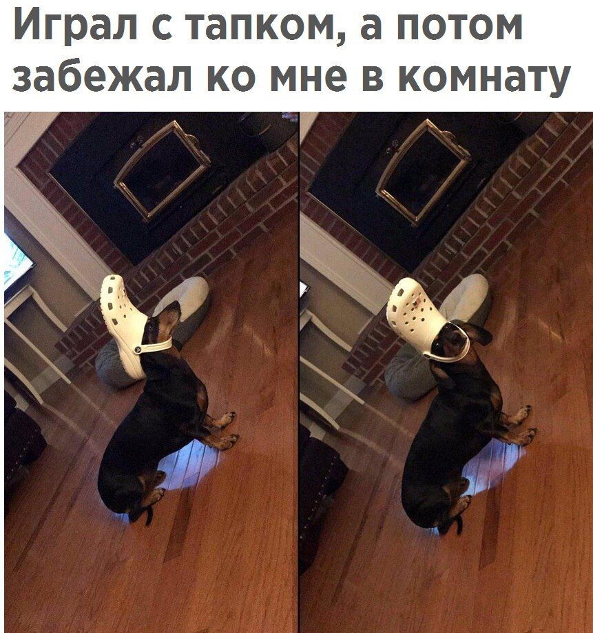 Мы очень любим плюшки ♥ Если понравилась статья - оцени её.  Хочешь еще больше приколов? Подпишись на нас ♥