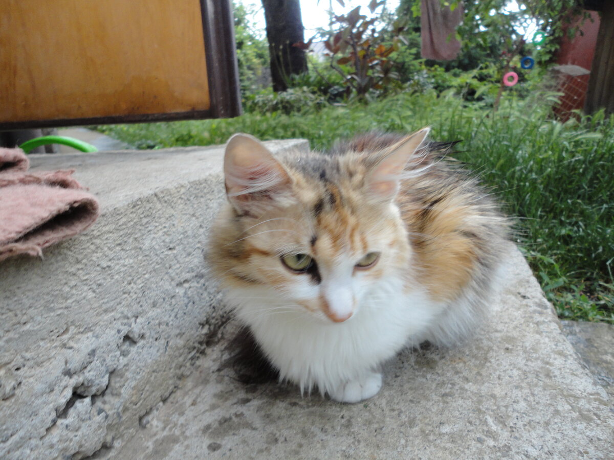 Мама уехала!