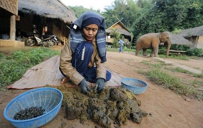 фото с Be-smart