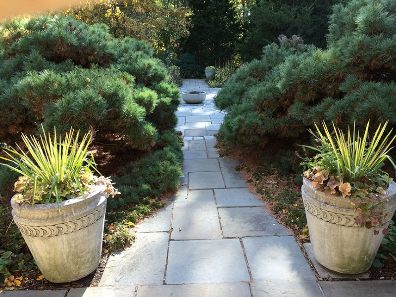 Фото: Todd Haiman Landscape Design Inc. Кашпо, расположенные в саду Wave Hill в Бронксе, Нью Йорк , сделаны из камня с пористой структурой.