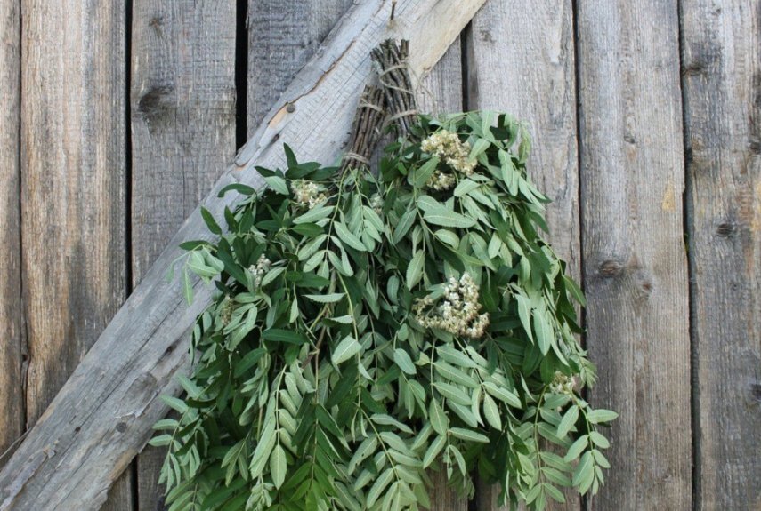 Фото: feringer.ru