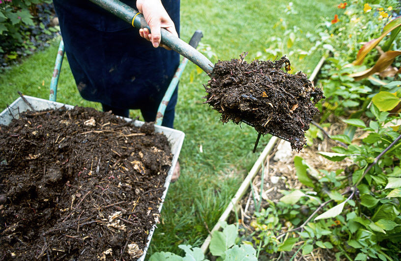 3 шага: как сделать почву плодородной