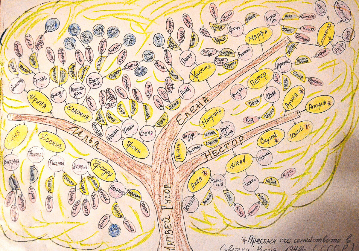 Родовое древо потомков основателя села Матвея Русова. Составлено кметом села Герганой Петковой
