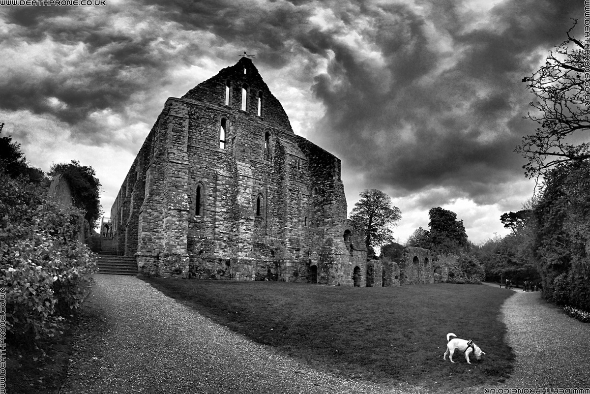 Поставьте лайк