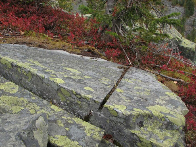 Фото взято из открытого источника. 