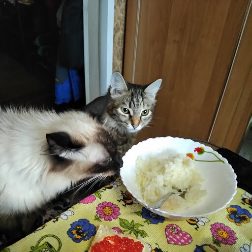 Наша каша гораздо вкуснее, чем даём Марусе.