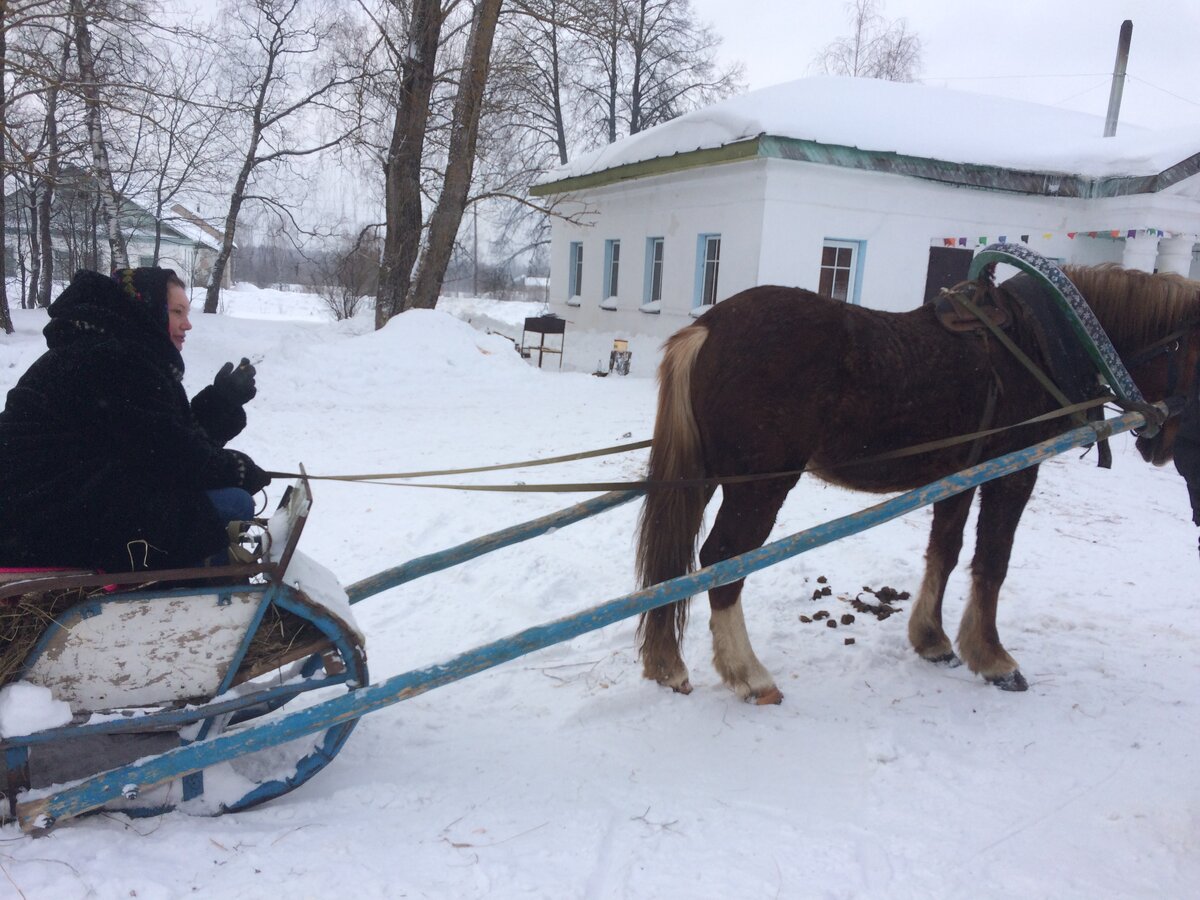 Конезавод медведки