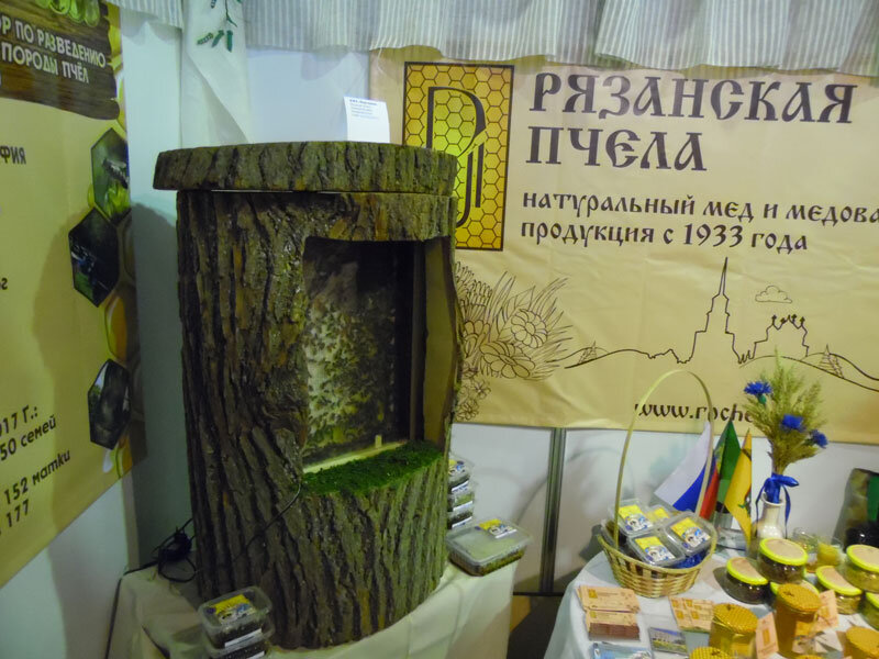 Фото сделано мной на конгрессе "Апиславия-2018" в Москве.