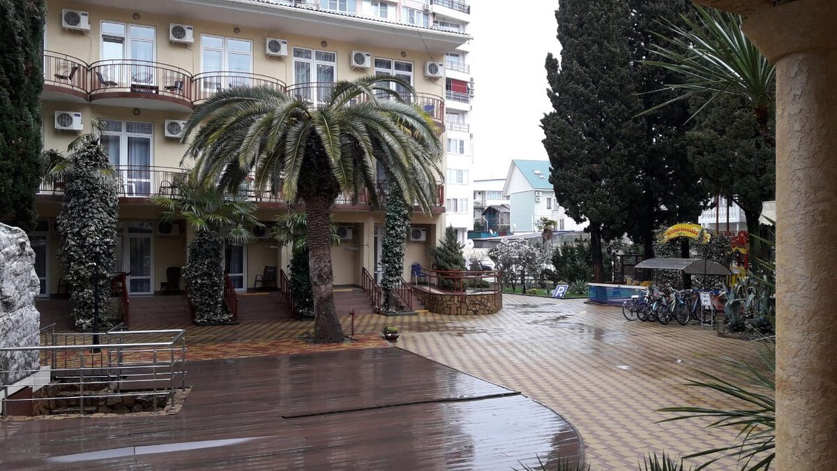 Адлер отель кипарис цены