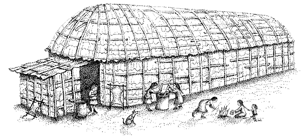 "Длинный дом" ирокезов