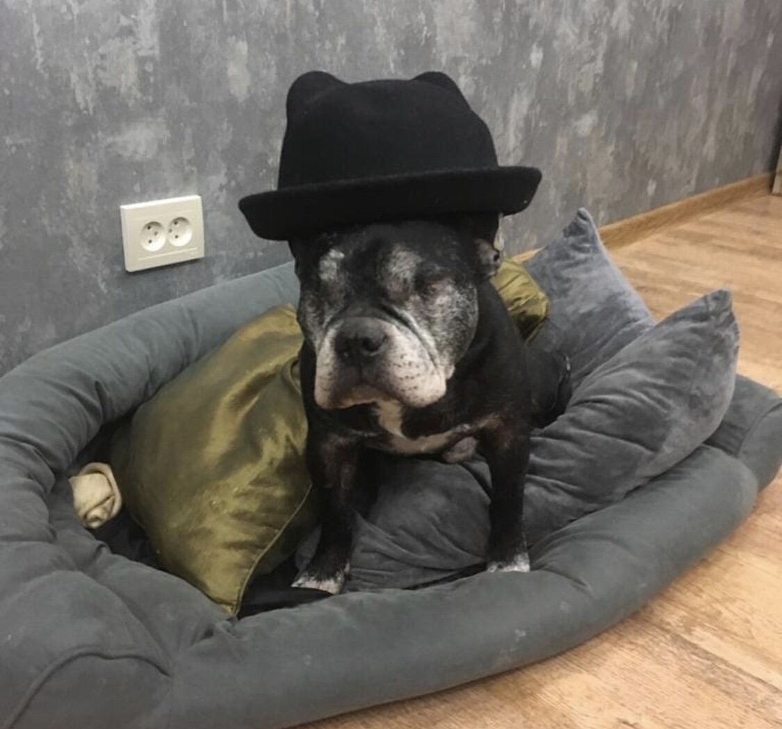 А я вовсе не дед, а мужчина в самом расцвете сил!!!