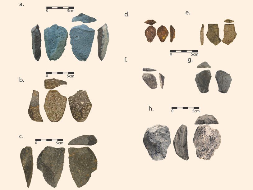 Найденные в Бокол-Дора артефакты. Фото: David Braun et al.  