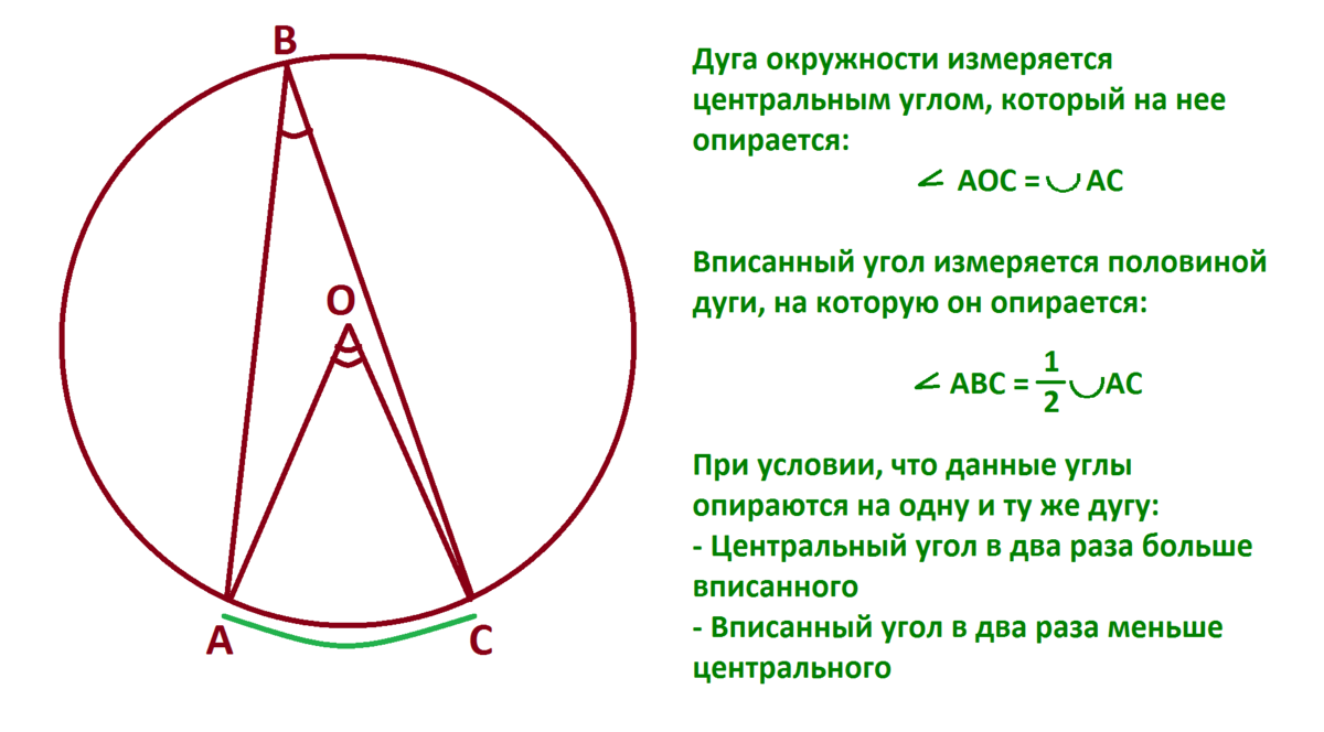 Градусная мера вписанного угла окружности