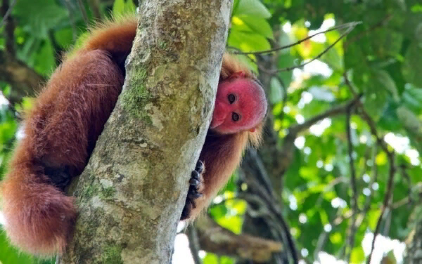 Не стесняйся, что естественно, то не безобразно! 