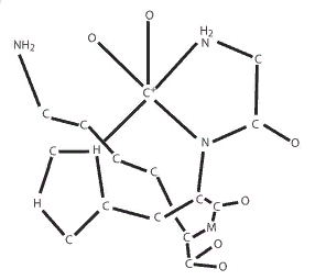 
Так выглядит молекула трипептида меди.
