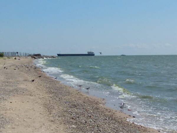 Азовское море и чайки. За Таганрогом. Фото  автора 06.08.19г. 