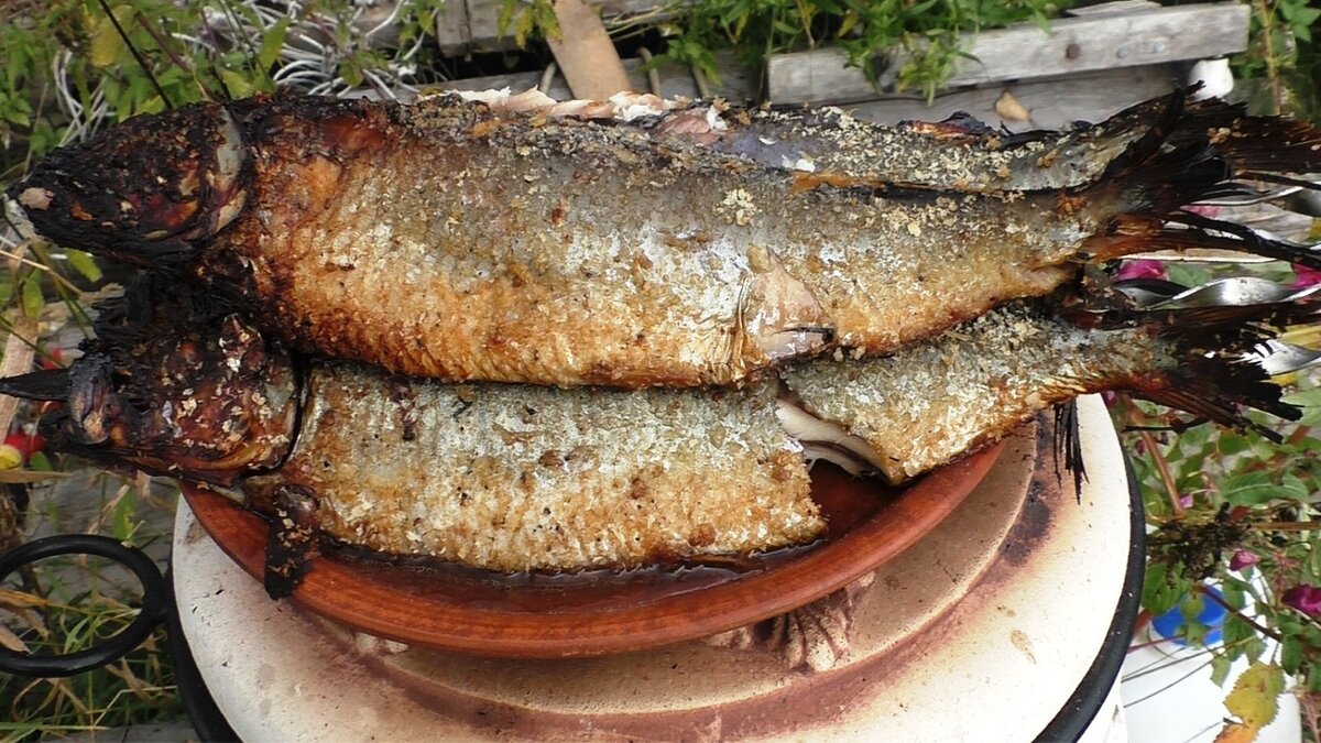 #РыбаВтандыре, селёдка,