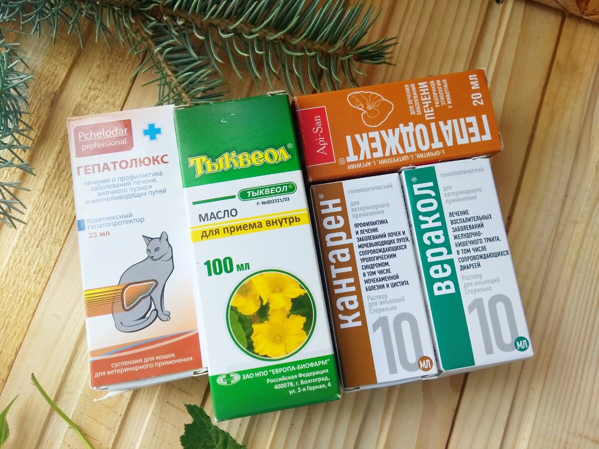 Зачем нужен Тыквеол, польза тыквенного масла, отзыв. Фото: Канал Гид Парфюм.