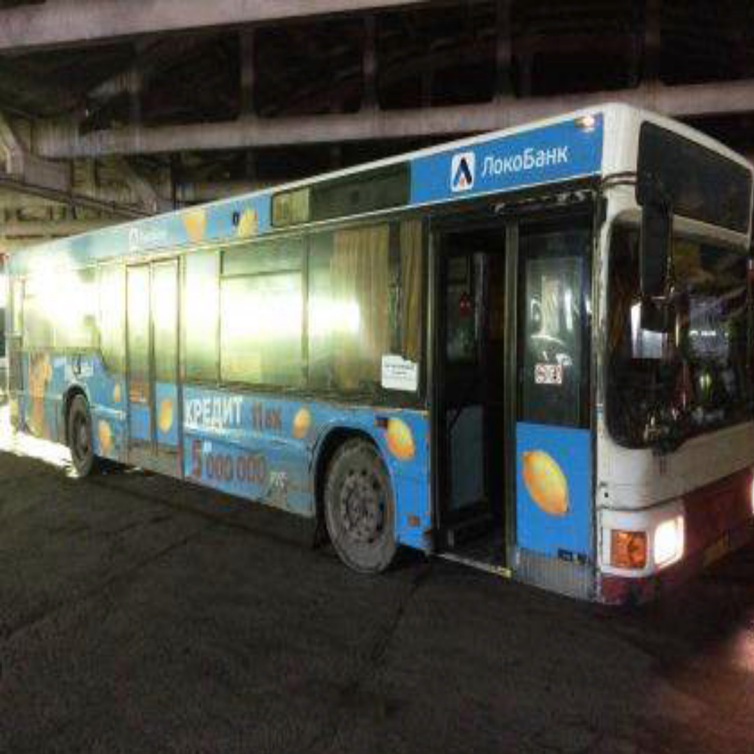 Внешний вид