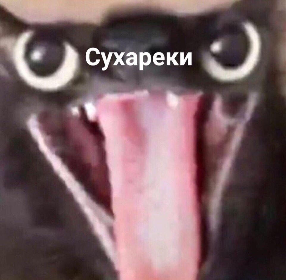 Школьник при виде пачки сухарей.