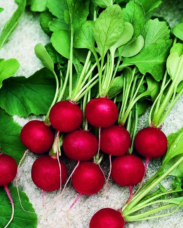 Фото с сайта Яндекс картинки.