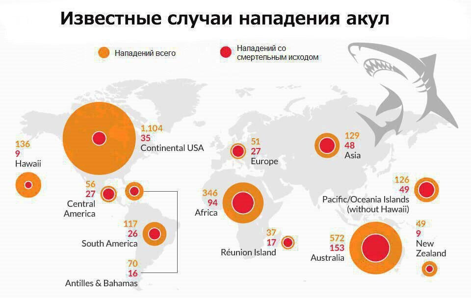 Карта нападения акул